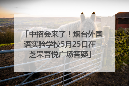 中招会来了！烟台外国语实验学校5月25日在芝罘吾悦广场答疑