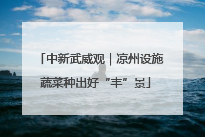 中新武威观｜凉州设施蔬菜种出好“丰”景