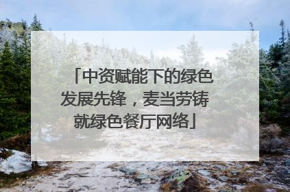 中资赋能下的绿色发展先锋，麦当劳铸就绿色餐厅网络