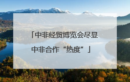 中非经贸博览会尽显中非合作“热度”
