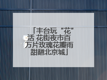 丰台玩“花”活 花街夜市百万片玫瑰花瓣雨甜翻北京城
