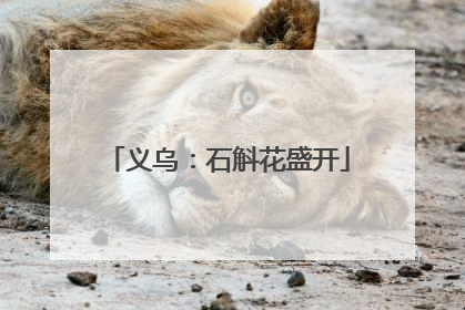 义乌：石斛花盛开