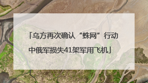 乌方再次确认“蛛网”行动中俄军损失41架军用飞机