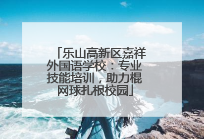 乐山高新区嘉祥外国语学校：专业技能培训，助力棍网球扎根校园