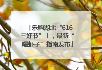 乐购湖北“616三好节”上，最新“嘬虾子”指南发布