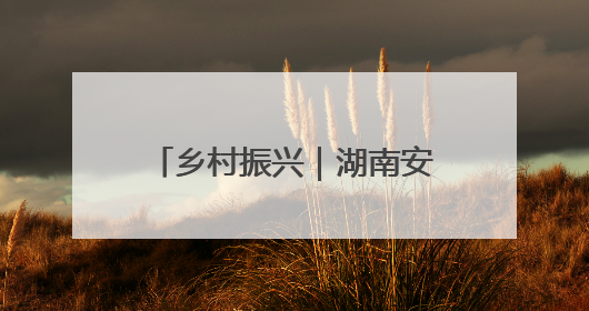 乡村振兴｜湖南安化：科技服务团“把脉问诊”水果产业