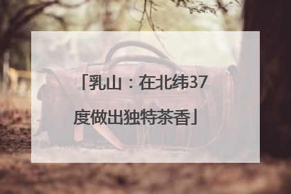 乳山：在北纬37度做出独特茶香
