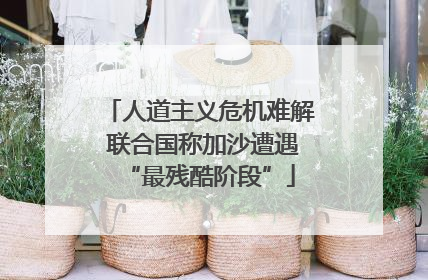 人道主义危机难解 联合国称加沙遭遇“最残酷阶段”
