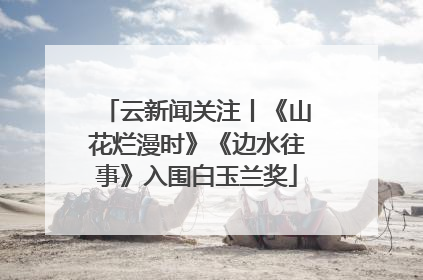 云新闻关注丨《山花烂漫时》《边水往事》入围白玉兰奖