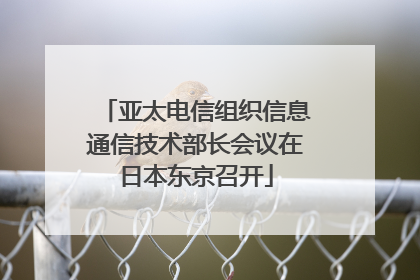 亚太电信组织信息通信技术部长会议在日本东京召开
