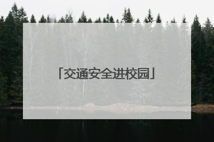 交通安全进校园
