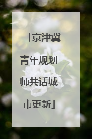 京津冀青年规划师共话城市更新