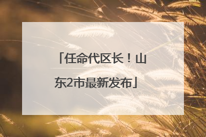 任命代区长！山东2市最新发布