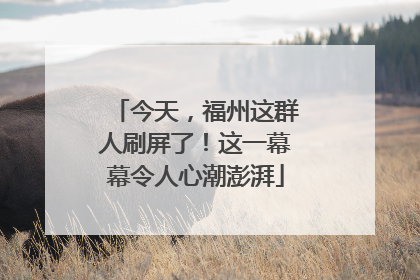今天，福州这群人刷屏了！这一幕幕令人心潮澎湃
