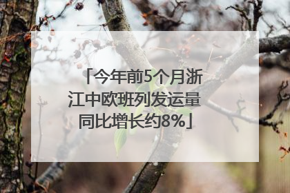 今年前5个月浙江中欧班列发运量同比增长约8%