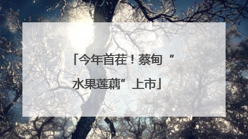 今年首茬！蔡甸“水果莲藕”上市