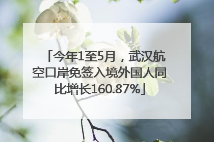 今年1至5月，武汉航空口岸免签入境外国人同比增长160.87%