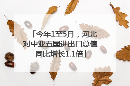 今年1至5月，河北对中亚五国进出口总值同比增长1.1倍