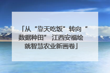 从“靠天吃饭”转向“数据种田” 江西安福绘就智慧农业新画卷