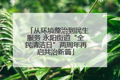 从环境整治到民生服务 永阳街道“全民清洁日”两周年再启共治新篇