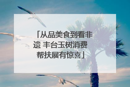 从品美食到看非遗 丰台玉树消费帮扶展有惊喜