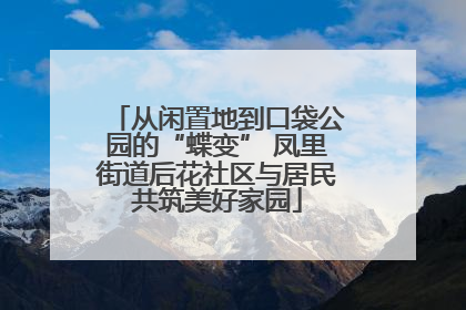 从闲置地到口袋公园的“蝶变” 凤里街道后花社区与居民共筑美好家园