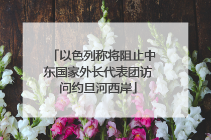 以色列称将阻止中东国家外长代表团访问约旦河西岸