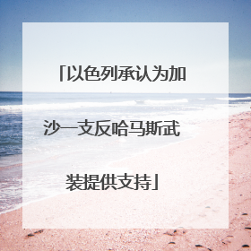 以色列承认为加沙一支反哈马斯武装提供支持