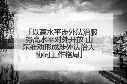 以高水平涉外法治服务高水平对外开放 山东推动形成涉外法治大协同工作格局