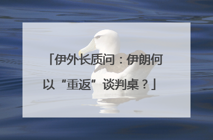 伊外长质问：伊朗何以“重返”谈判桌？