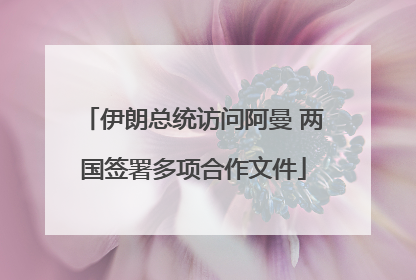 伊朗总统访问阿曼 两国签署多项合作文件