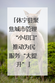 休宁县聚焦城市管理“小切口” 推动为民服务“大提升”