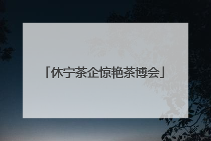 休宁茶企惊艳茶博会