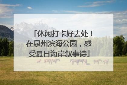 休闲打卡好去处！在泉州滨海公园，感受夏日海岸叙事诗