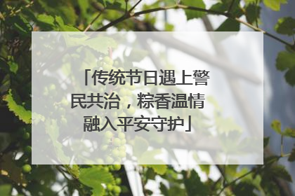 传统节日遇上警民共治，粽香温情融入平安守护