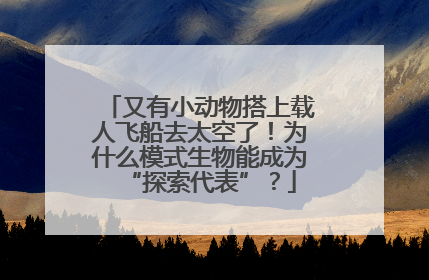 又有小动物搭上载人飞船去太空了！为什么模式生物能成为“探索代表”？