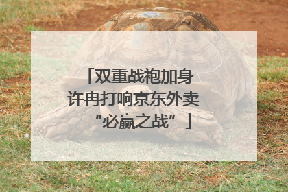 双重战袍加身 许冉打响京东外卖“必赢之战”