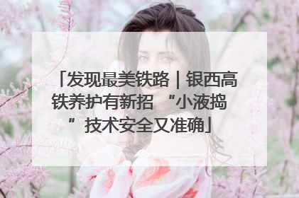 发现最美铁路｜银西高铁养护有新招 “小液捣”技术安全又准确