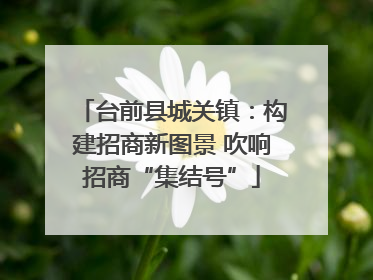 台前县城关镇：构建招商新图景 吹响招商“集结号”