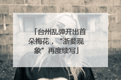 台州乱弹开出首朵梅花，“浙婺现象”再度续写