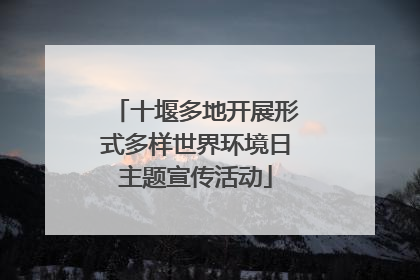 十堰多地开展形式多样世界环境日主题宣传活动
