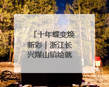 十年蝶变焕新彩｜浙江长兴煤山镇绘就新时代乡村振兴多彩画卷