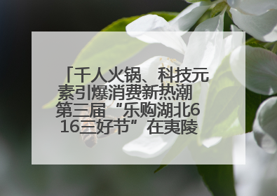 千人火锅、科技元素引爆消费新热潮 第三届“乐购湖北616三好节”在夷陵区盛大启幕