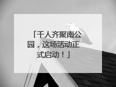千人齐聚南公园，这场活动正式启动！