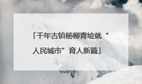 千年古镇杨柳青绘就“人民城市”育人新篇