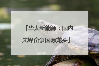 华太新能源：国内先锋奋争国际龙头