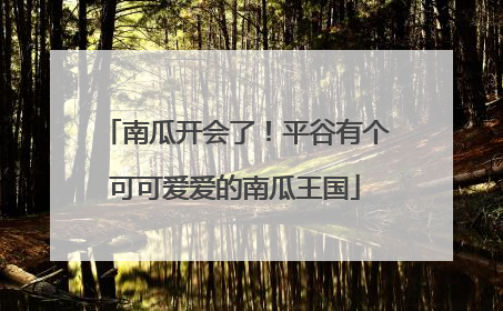 南瓜开会了！平谷有个可可爱爱的南瓜王国
