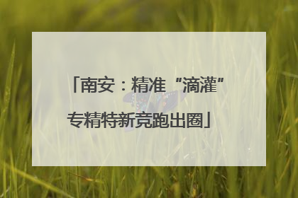 南安：精准“滴灌”专精特新竞跑出圈