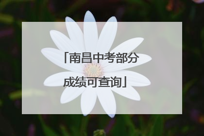 南昌中考部分成绩可查询