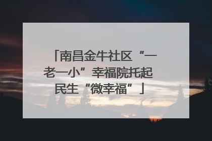 南昌金牛社区“一老一小”幸福院托起民生“微幸福”